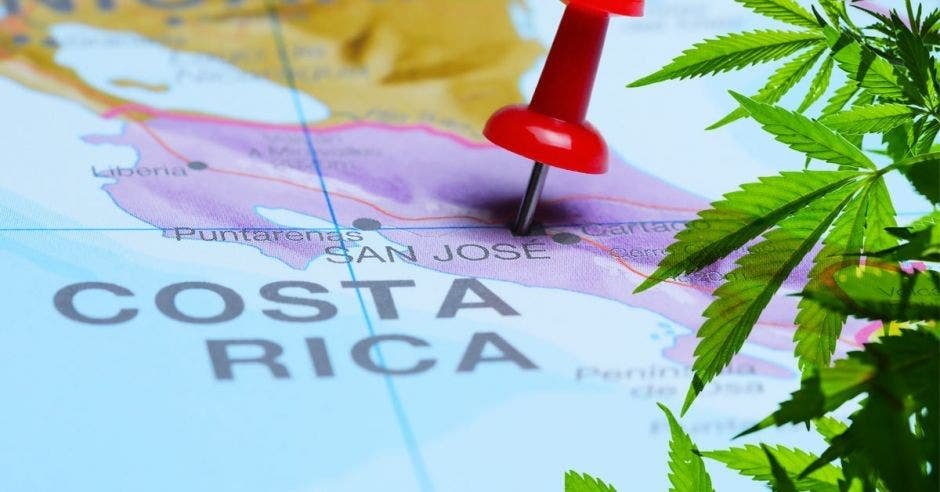 COSTA RICA LEGALIZA MARIGUANA PARA USO MEDICINAL