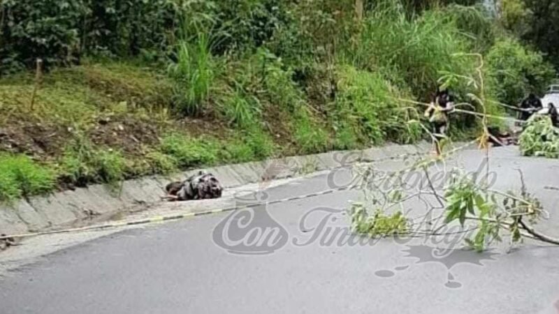 ASESINAN A VENDEDOR DE POLLOS