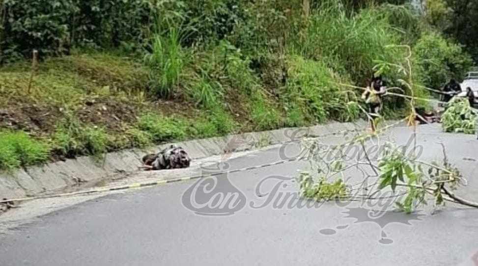 ASESINAN A VENDEDOR DE POLLOS