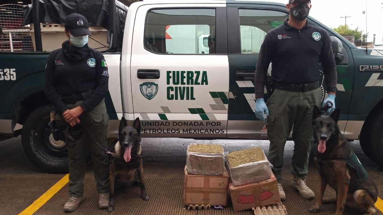 ENVÍAN DROGA POR PAQUETERÍA