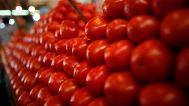 MÉXICO INVESTIGARÁ DENUNCIAS DE TRABAJO FORZADO EN EMPRESAS EXPORTADORAS DE TOMATE