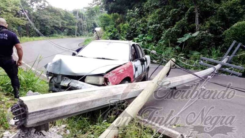 TSURU DERRIBA POSTES