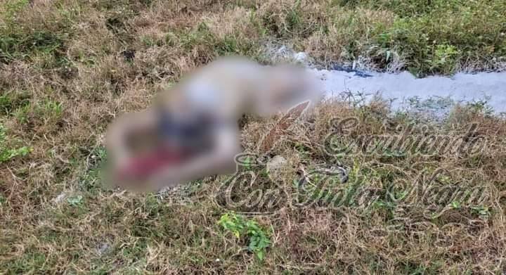 ENCUENTRAN CUERPO MUTILADO DE MUJER