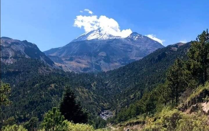 POR CAMBIO CLIMÁTICO APARECEN INSECTOS Y HONGOS EN PARQUE PICO DE ORIZABA