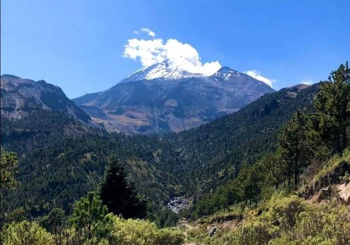 POR CAMBIO CLIMÁTICO APARECEN INSECTOS Y HONGOS EN PARQUE PICO DE ORIZABA