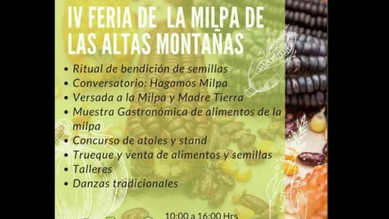 HABRÁ FERIA DE LA MILPA EN IXHUATLÁN
