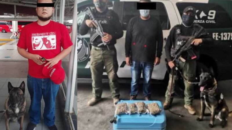 LES ENCUENTRAN “PASTITO VACILADOR”