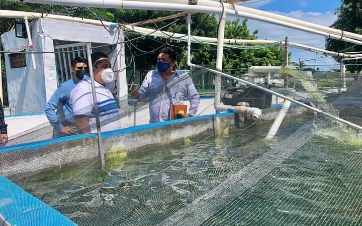 BUSCAN AUTORIDADES ELECTAS DE PASO DEL MACHO ACERCAMIENTO CON TEC DE BOCA DEL RÍO