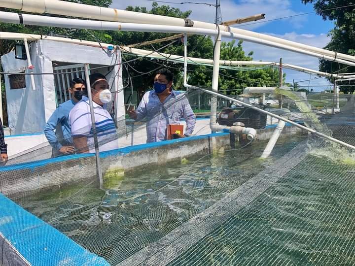 BUSCAN AUTORIDADES ELECTAS DE PASO DEL MACHO ACERCAMIENTO CON TEC DE BOCA DEL RÍO