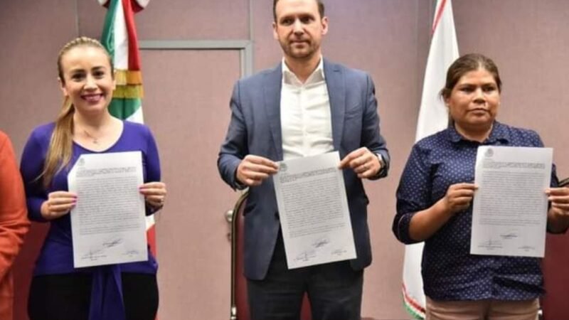 NORA LAGUNES LEGISLARÁ A FAVOR DEL MEDIO AMBIENTE EN VERACRUZ