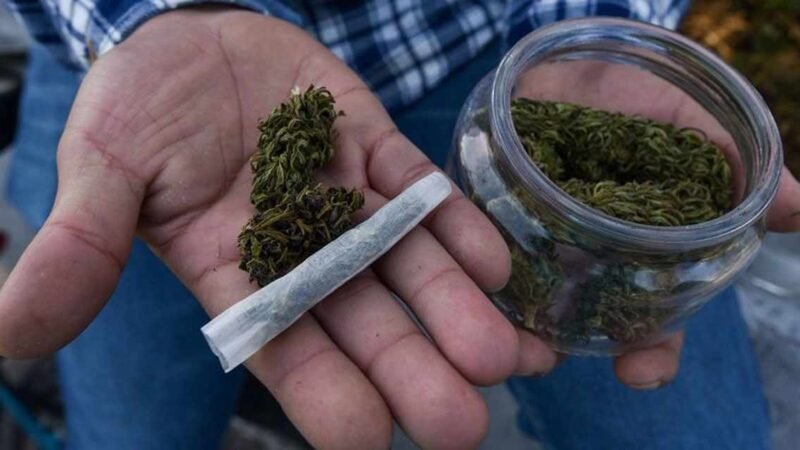 ESTADOS UNIDOS ALERTA POR MARIGUANA MEZCLADA CON FENTANILO