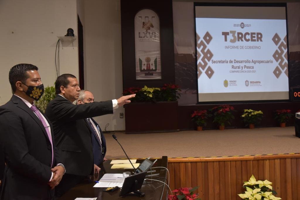 VERACRUZ SE RENUEVA DESDE SU CAMPO: SEDARPA