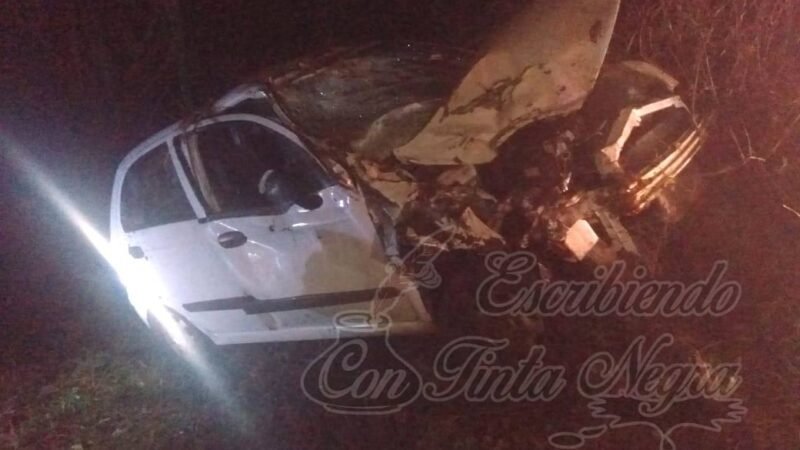 SE ACCIDENTAN CARPINTEROS DE TOTUTLA