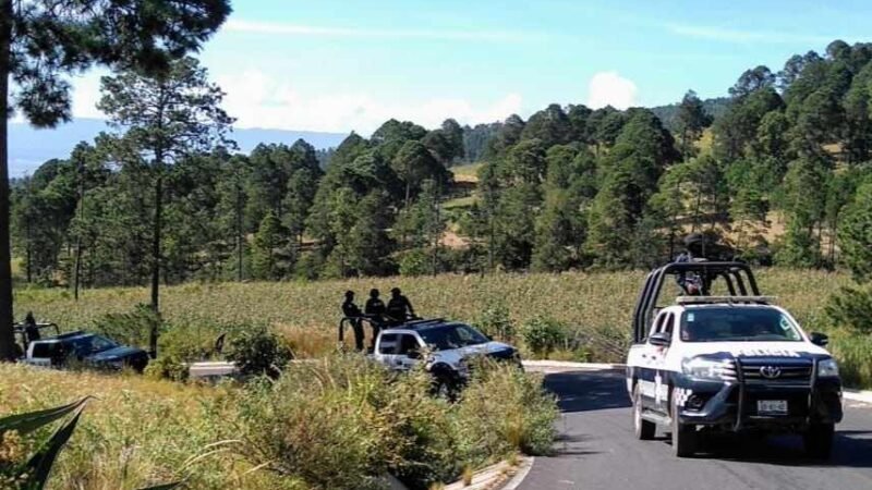 SEDEMA DICE QUE AHORA SÍ, FRENARÁN TALA CLANDESTINA