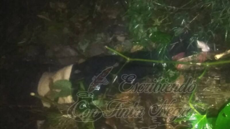 MUERE CAMPESINO AL CAER A BARRANCO