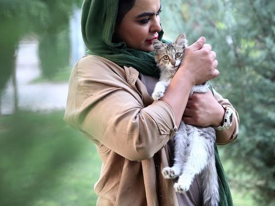 IRÁN BUSCA PROHIBIR MASCOTAS POR “IMPURAS”