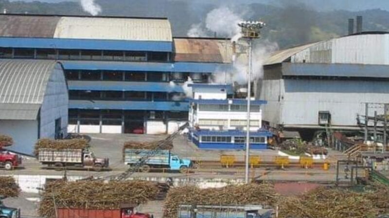 INICIA ZAFRA EL POTRERO