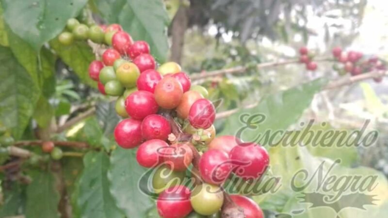 EXIGEN ALTO A ABUSOS DE “COYOTES”