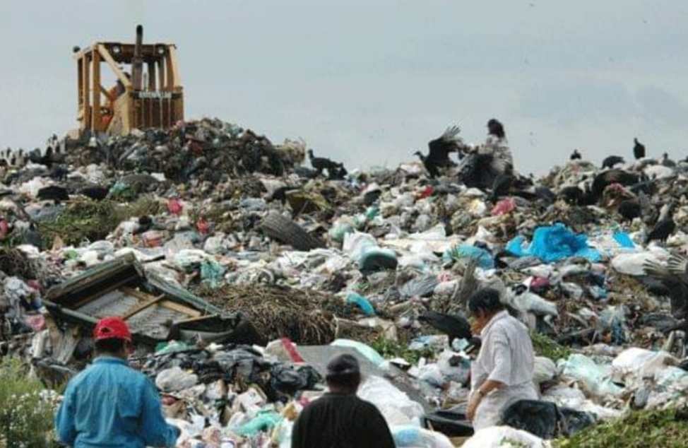 GENERAN VERACRUZANOS 8 MIL TONELADAS DE BASURA AL DÍA