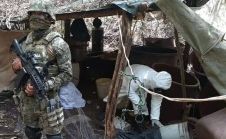 DESMANTELAN 113 LABORATORIOS PARA FABRICAR DROGAS