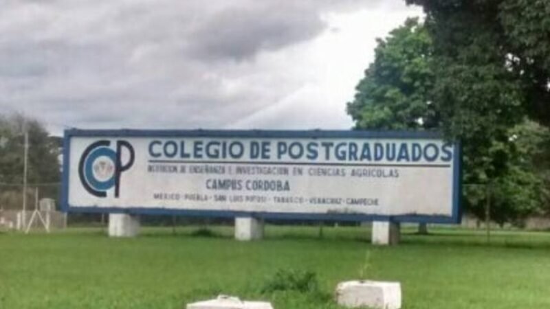 IMPLEMENTA COLEGIO DE POSTGRADUADOS TECNOLOGÍA EN PRODUCCIÓN DE PLANTA DE ANTURIOS