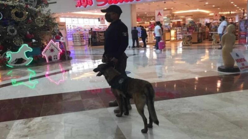 DETIENE SSP A 2 MIL DURANTE GUADALUPE-REYES