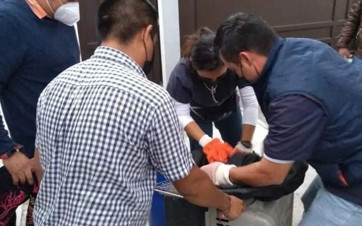 LLAMA CENTRO DE BIENESTAR ANIMAL AL CUIDADO RESPONSABLE DE ANIMALES