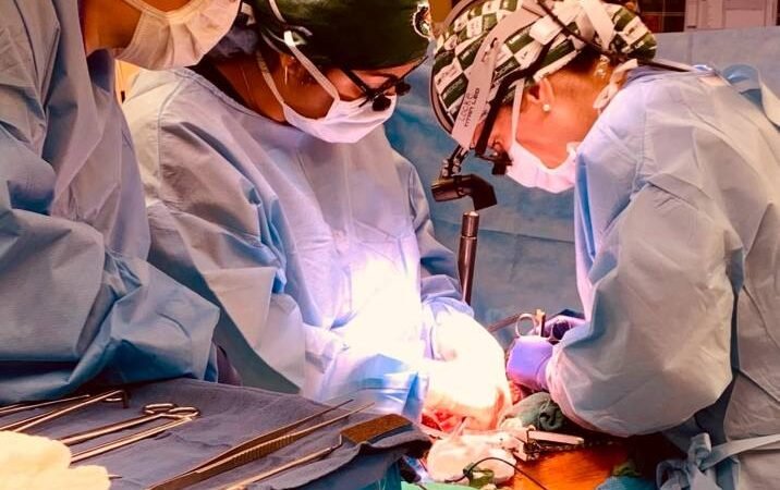 TRASPLANTAN DOS RIÑONES DE CERDO MODIFICADOS GENÉTICAMENTE A UN HUMANO