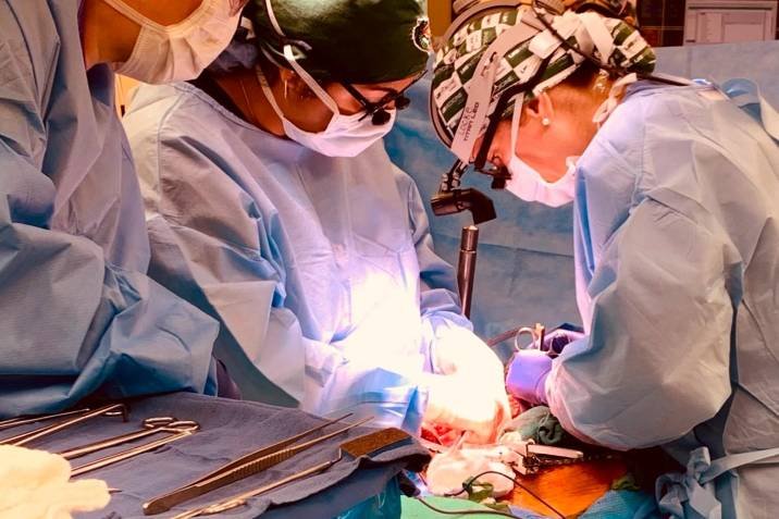 TRASPLANTAN DOS RIÑONES DE CERDO MODIFICADOS GENÉTICAMENTE A UN HUMANO