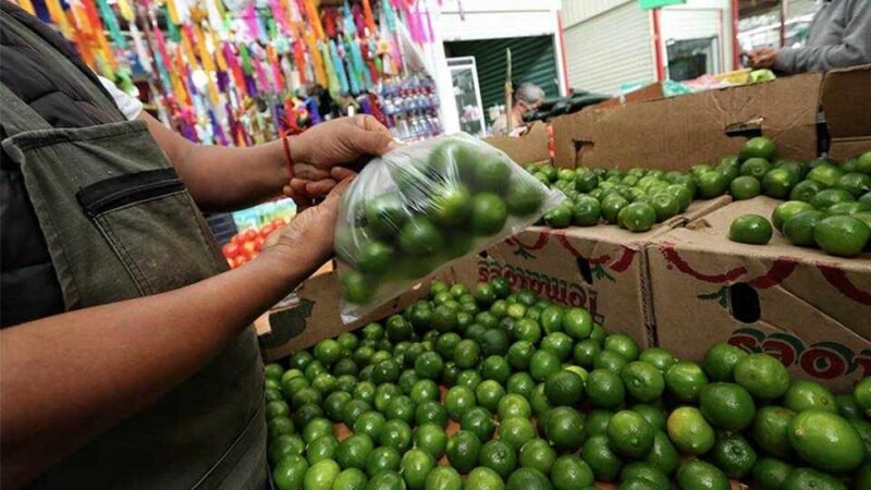 SAGARPA PREVÉ QUE PRECIO DEL LIMÓN SE REGULARICE DESPUÉS DE ABRIL