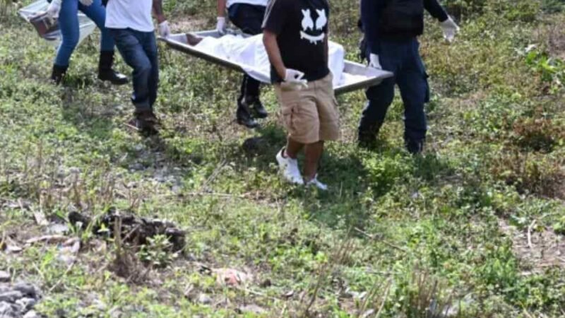 TREN ARROLLA Y MATA A ANCIANO