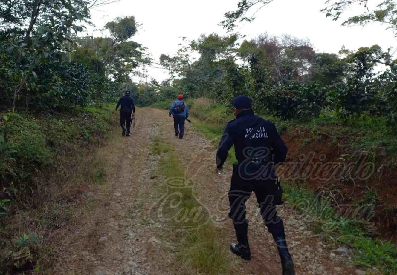 DETIENEN A LADRONES DE CAFÉ