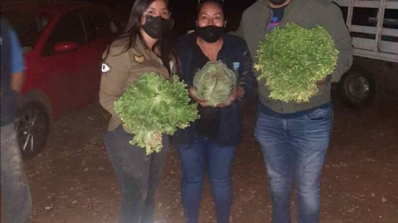 ARRANCA AYUNTAMIENTO DE ATOYAC PROGRAMA DE CULTIVO DE HORTALIZAS