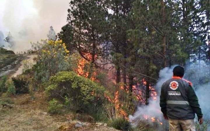 SUMAN 12 INCENDIOS EN LO QUE VA DEL AÑO