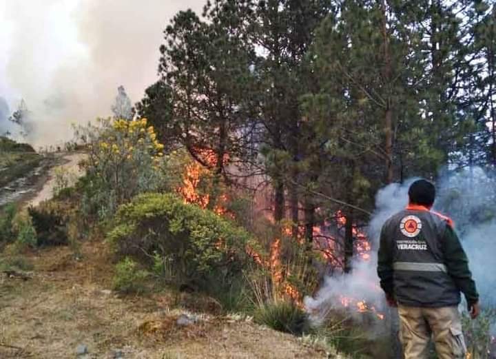 SUMAN 12 INCENDIOS EN LO QUE VA DEL AÑO