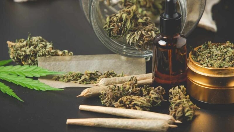 UNAM LANZA DIPLOMADO SOBRE CANNABIS