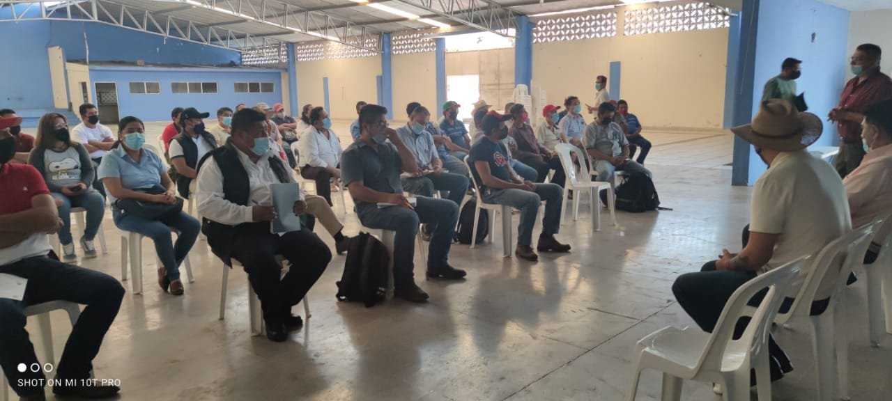 BUSCAN CAMBIAR VISIÓN DE CAFETICULTORES