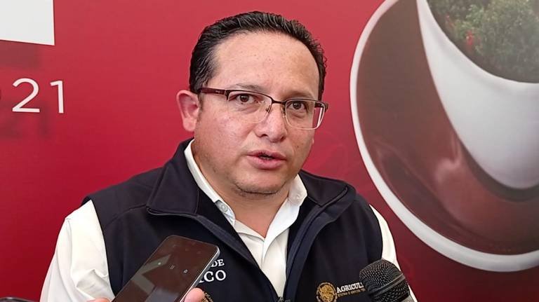AMSA, QUIEN MEJOR PAGA EL CAFÉ EN IXHUATLÁN; AFIRMA SADER