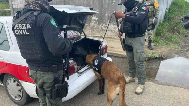 APLICA SSP Y FUERZAS FEDERALES OPERATIVO CERO TOLERANCIA EN COATZACOALCOS