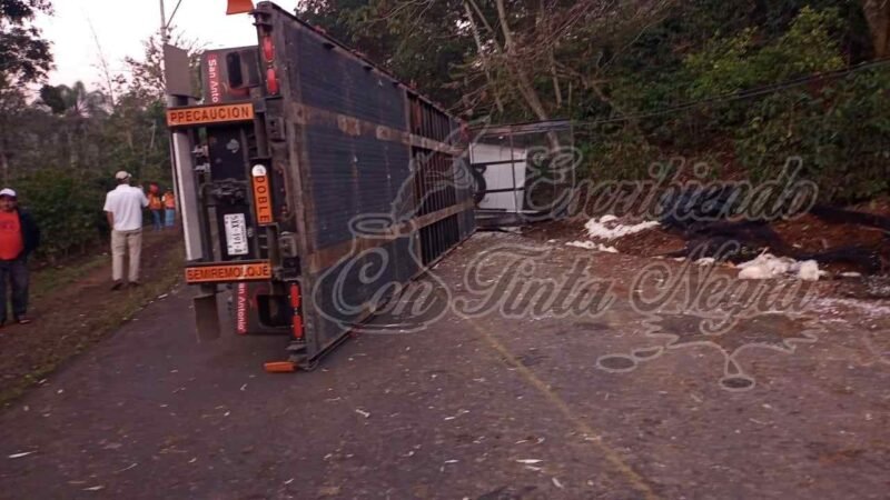 ¡SE LLEVAN LOS POLLOS!