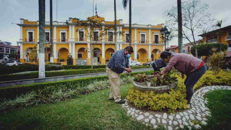 RESCATAN ÁREAS VERDES DE COSCOMATEPEC