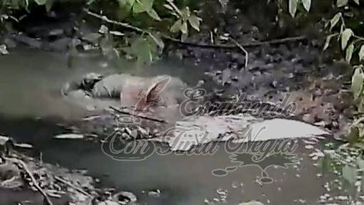 ENCUENTRAN CADÁVER EN ARROYO DE CÓRDOBA