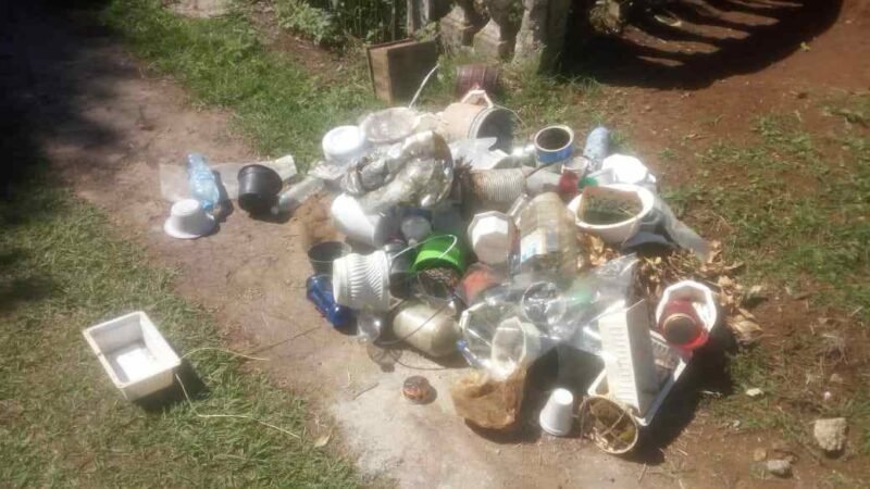 RETIRAN MIL CRIADEROS DEL MOSCO TRANSMISOR DE DENGUE DEL PANTEÓN MUNICIPAL