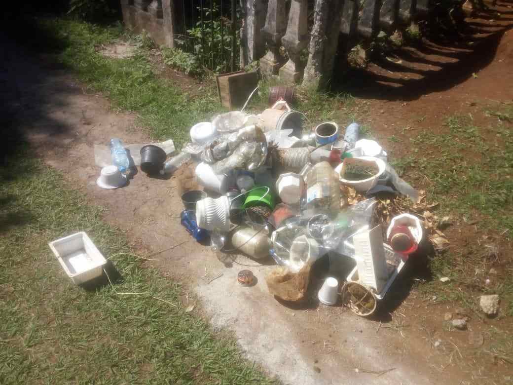 RETIRAN MIL CRIADEROS DEL MOSCO TRANSMISOR DE DENGUE DEL PANTEÓN MUNICIPAL