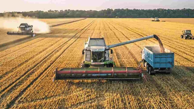 SUBEN METALES Y FUTUROS DE TRIGO Y MAÍZ