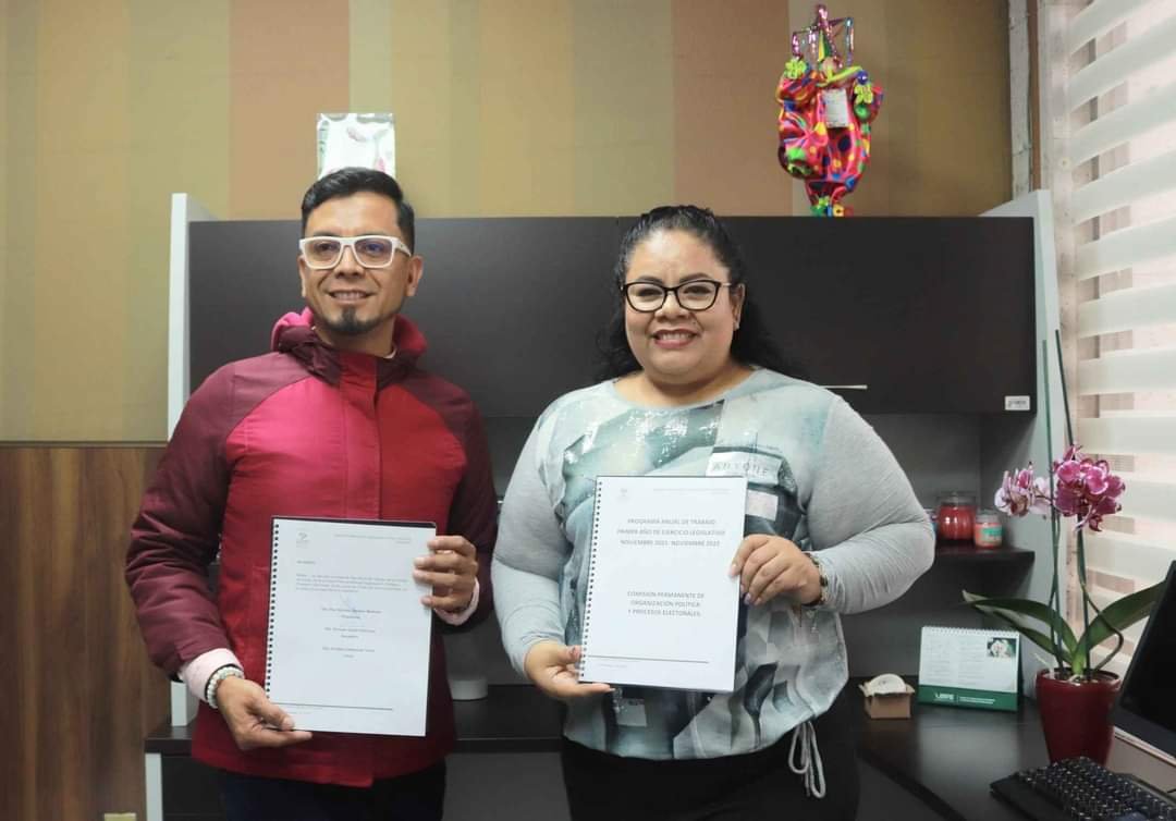 COMISIÓN DE ORGANIZACIÓN POLÍTICA DEFINE AGENDA DE TRABAJO