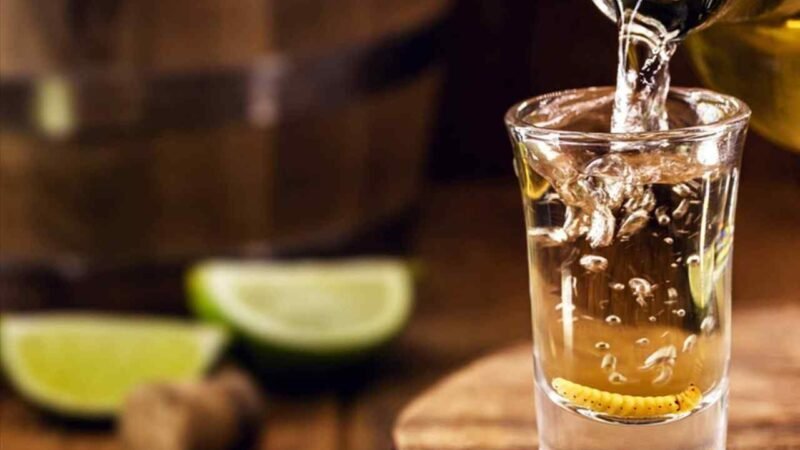PROFECO ALERTA SOBRE MEZCALES QUE INCUMPLEN LAS NORMAS OFICIALES