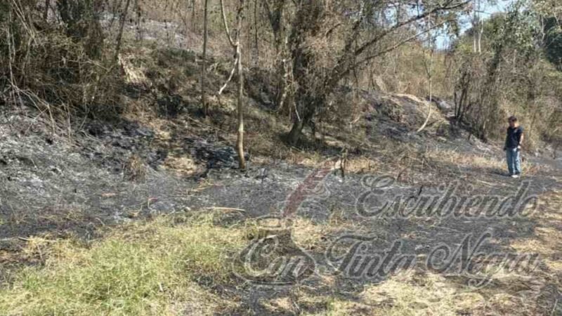 ATIENDE PROTECCIÓN CIVIL INCENDIO EN PASTIZAL
