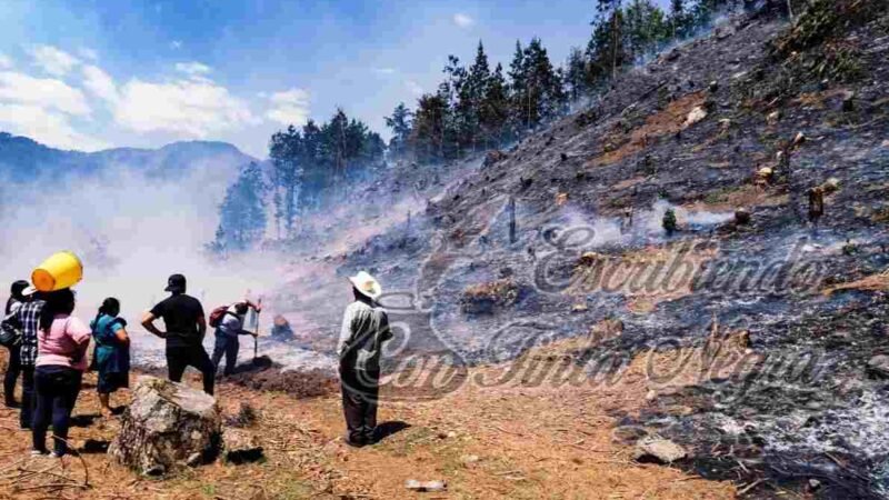 REPORTAN INCENDIOS FORESTALES EN SIERRA DE COSCO