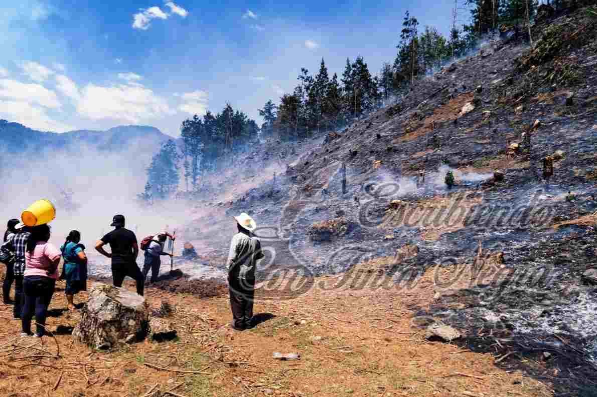 REPORTAN INCENDIOS FORESTALES EN SIERRA DE COSCO